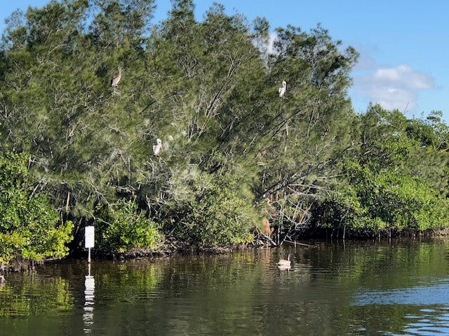 Merritt Island Studio